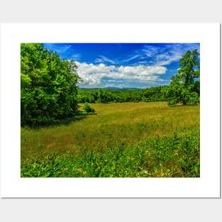 Virginia Summer Meadow Posters and Art